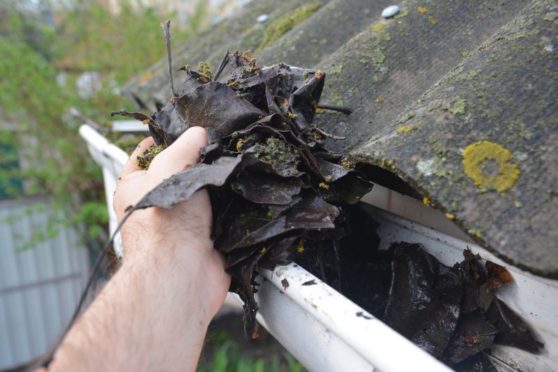 Gutter Leaf Clearing in Rochester, NY